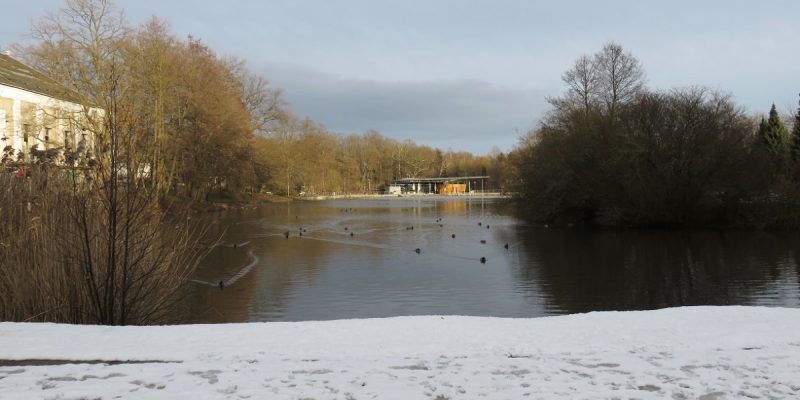 Pelzmühlenteich