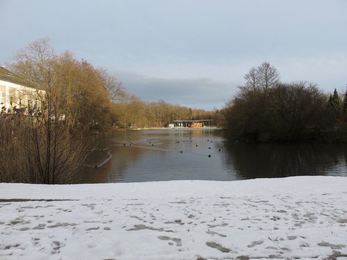 Pelzmühlenteich