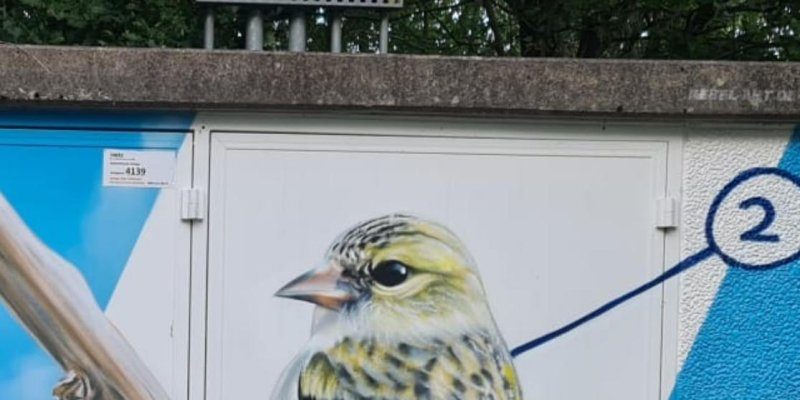 Wandgemälde eines Zeisigs