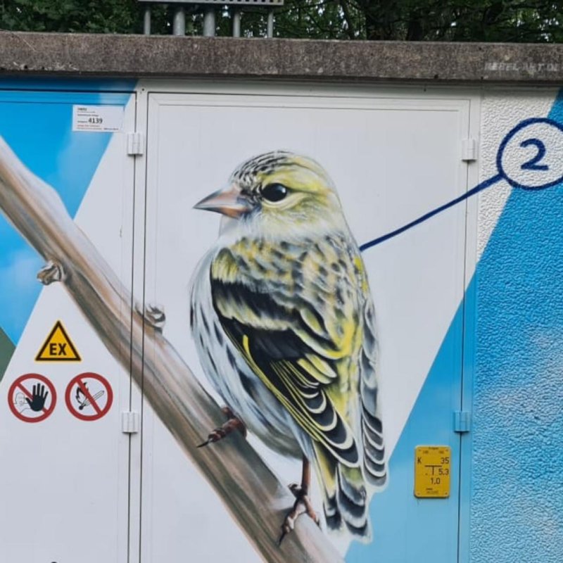 Wandgemälde eines Zeisigs