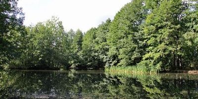 Zeisigwald