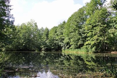 Zeisigwald