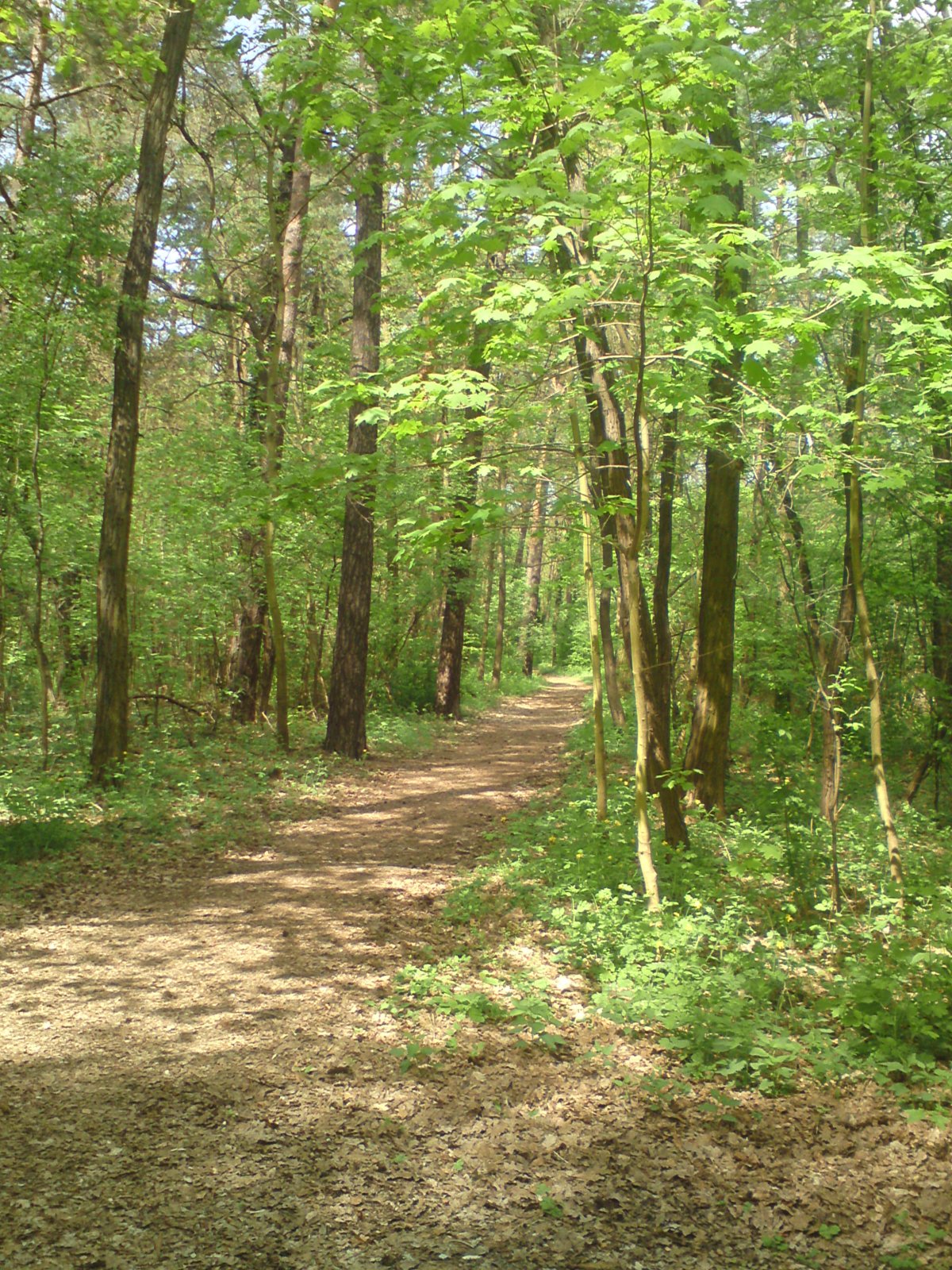 Volkspark