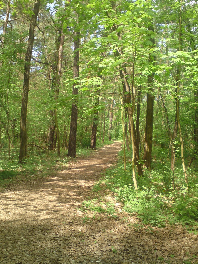 Volkspark