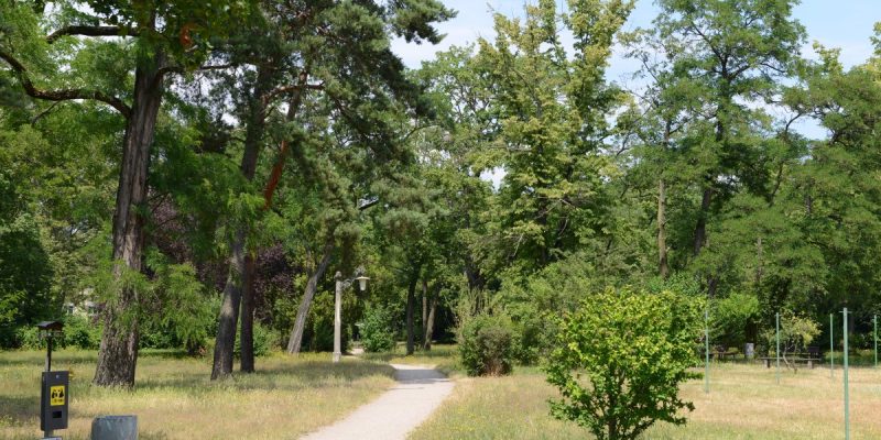 Parks in Darmstadt — Spaziergang II