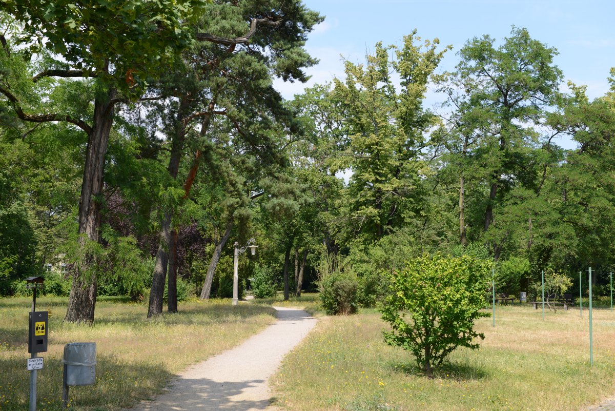 Akaziengarten