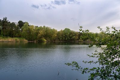 Am Kleewoog von Gräfenhausen