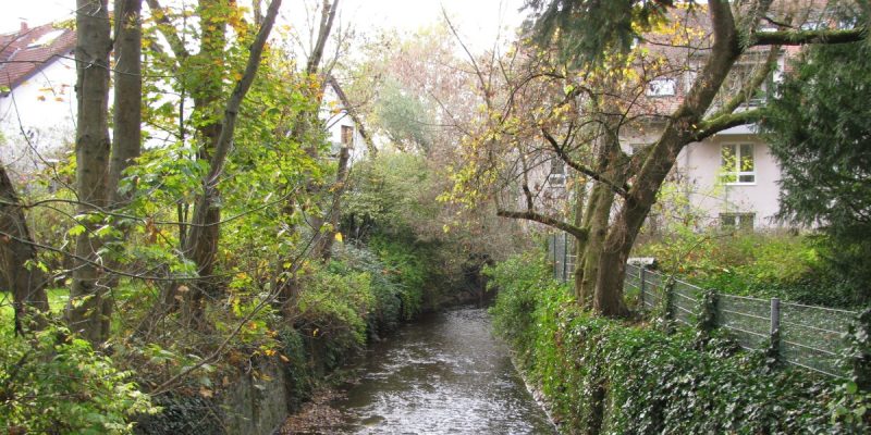 Bauerngarten Eberstadt