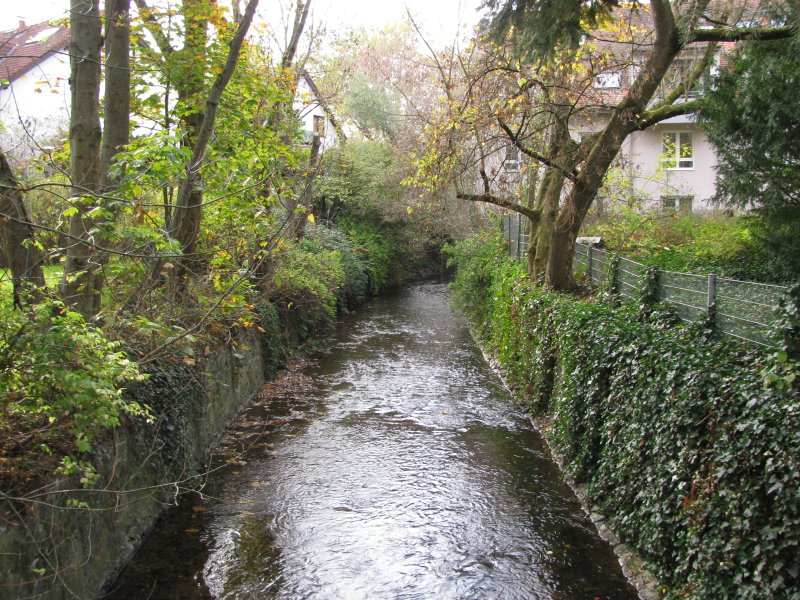 Bauerngarten Eberstadt