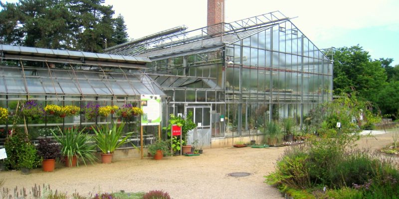 Botanischer Garten