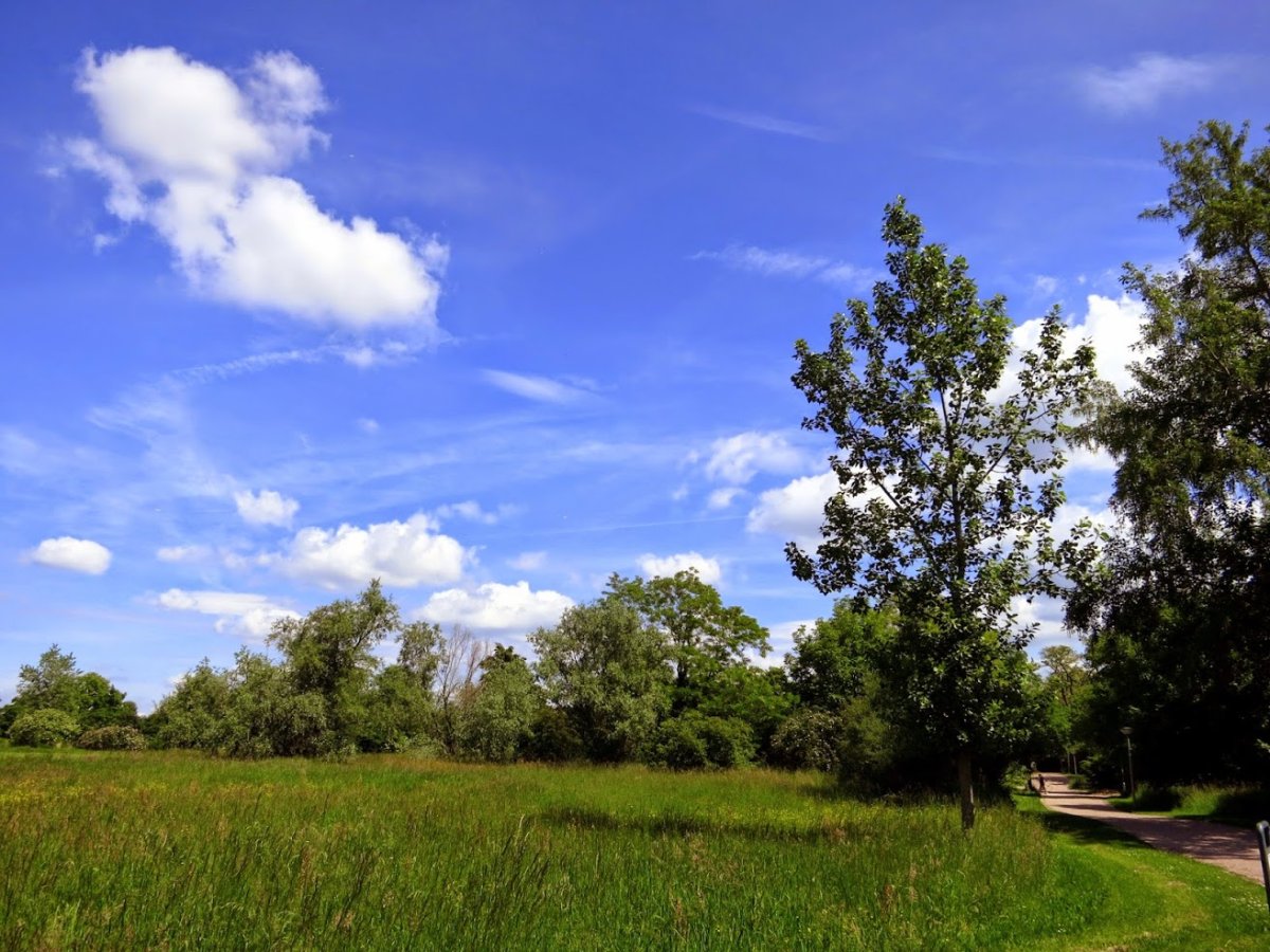 Bürgerpark Nord