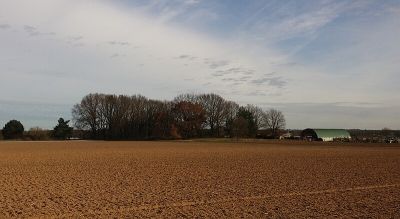 Düne Stahlberg I