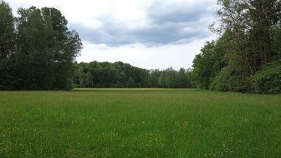 Großer und kleiner Bruch bei Roßdorf