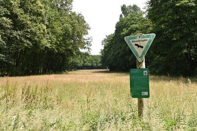 Hegbachaue bei Messel