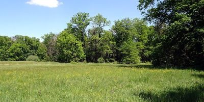 Im Mörsbacher Grund von Darmstadt-Arheilgen