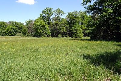 Im Mörsbacher Grund von Darmstadt-Arheilgen