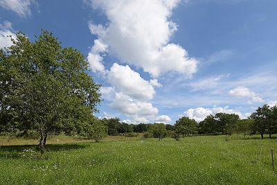 Lerchenberg und Kernesbellen von Darmstadt-Eberstadt