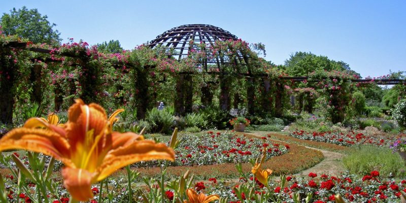 Park Rosenhöhe