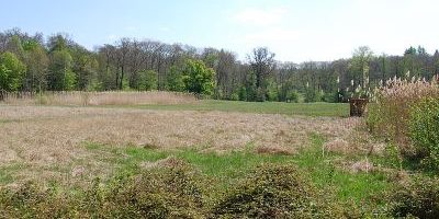 Silzwiesen von Darmstadt-Arheilgen