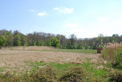 Silzwiesen von Darmstadt-Arheilgen