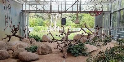 Vivarium