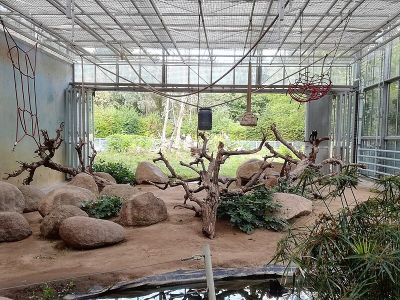 Vivarium
