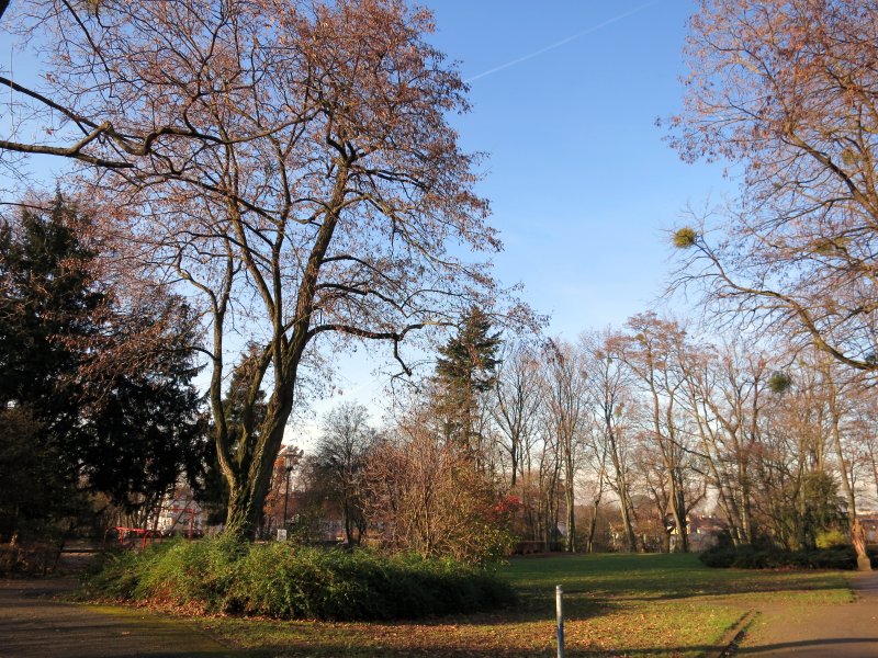 Wolfskehl'scher Park