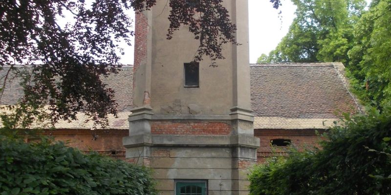 Irrgarten Schloss Mosigkau