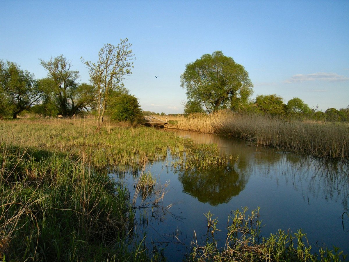 Pelze