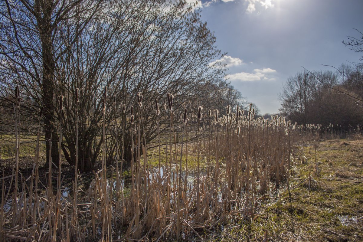 An der Panne