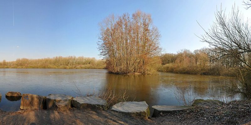 Brunosee