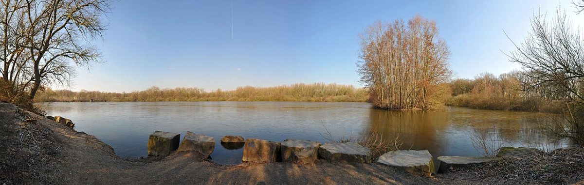 Brunosee