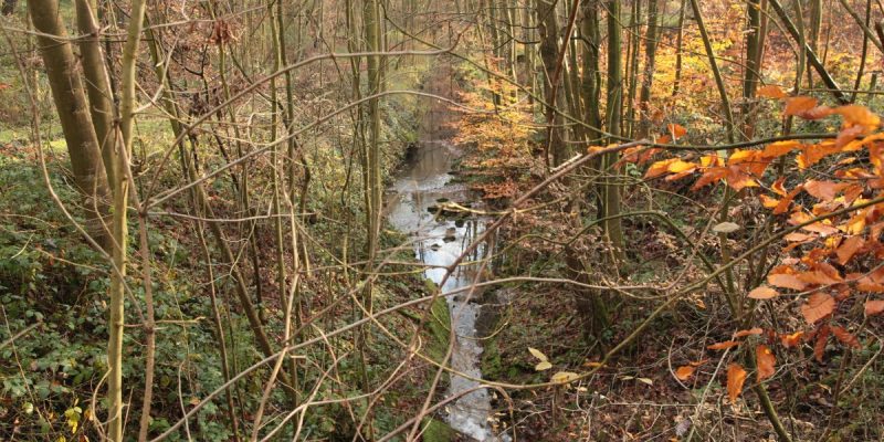Dellwiger Bachtal