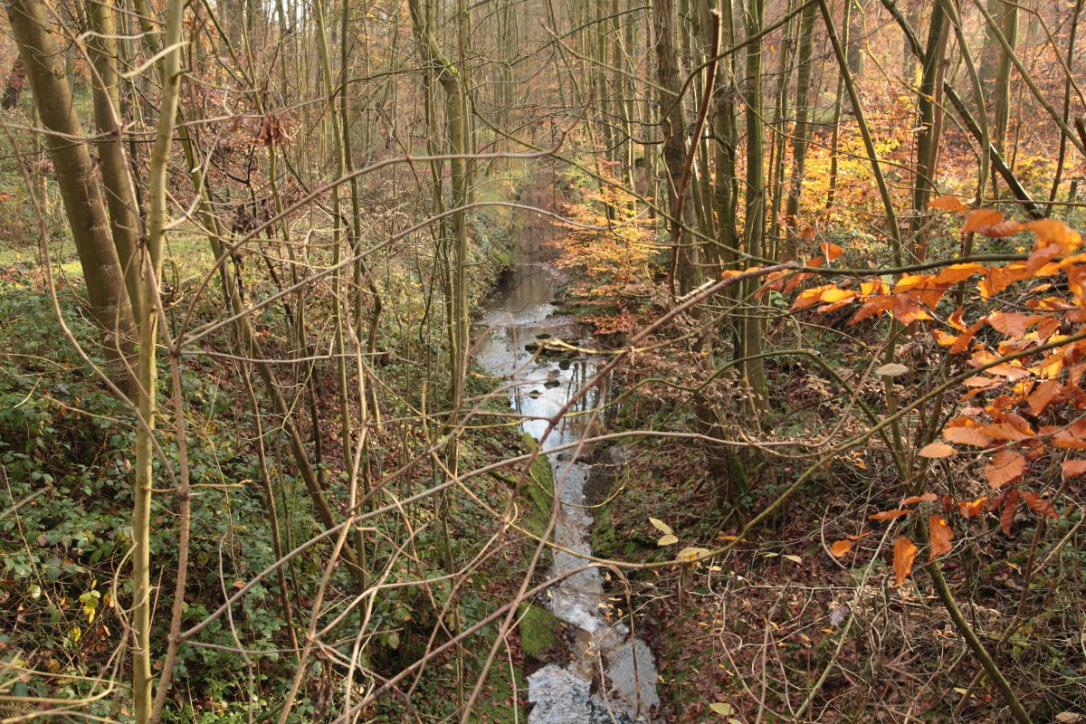 Dellwiger Bachtal
