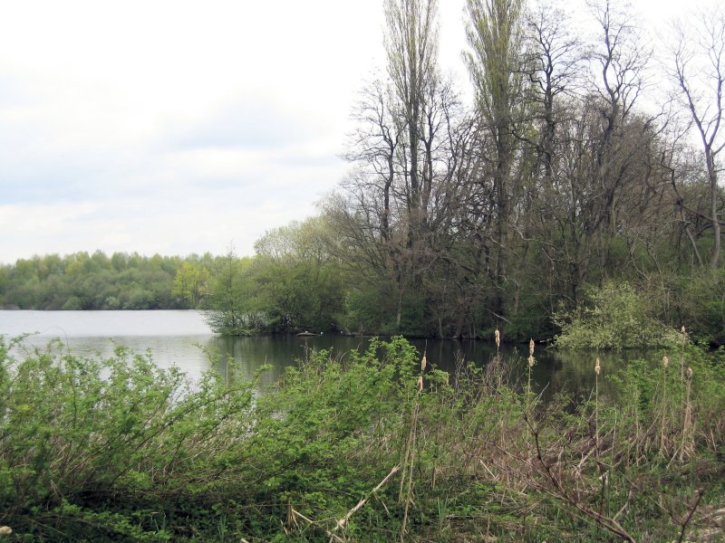 Hallerey