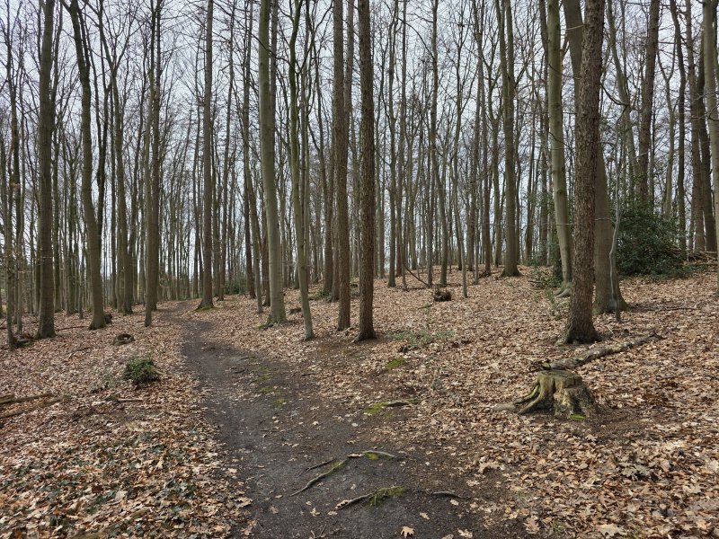 Kleinholthauser Mark