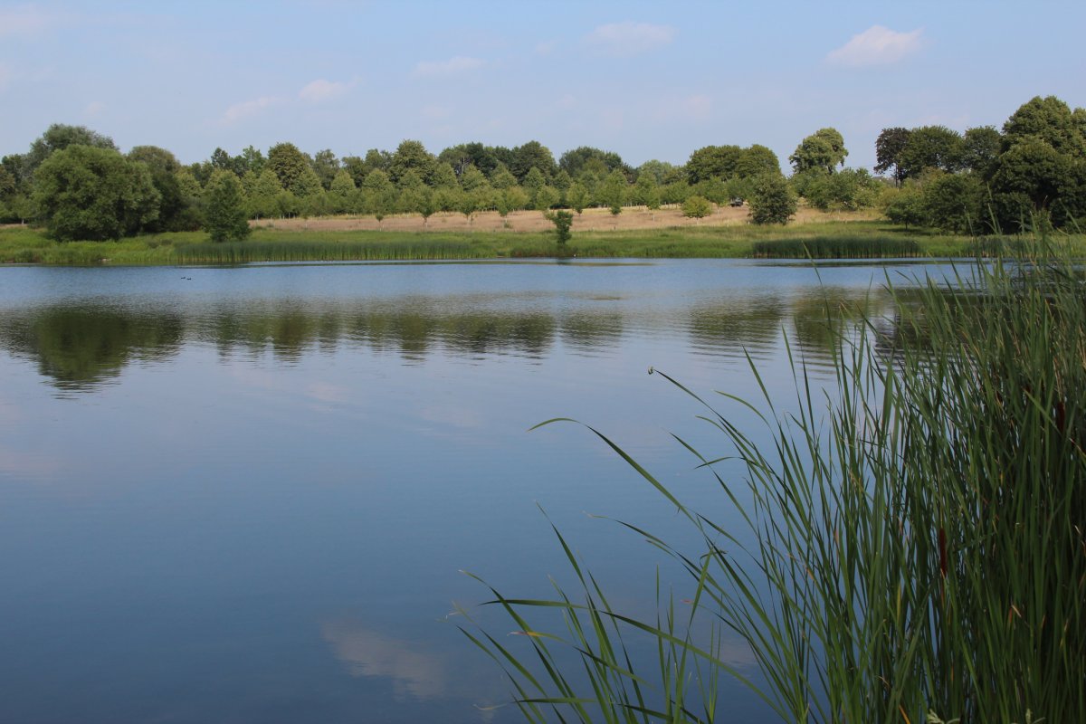 Lanstroper See