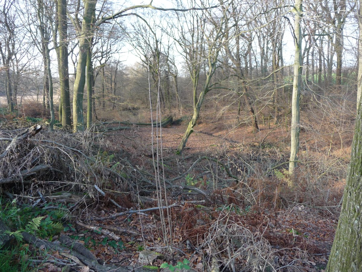 Ölbachtal
