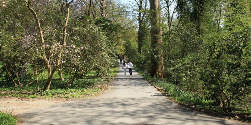 Rombergpark / Botanischer Garten