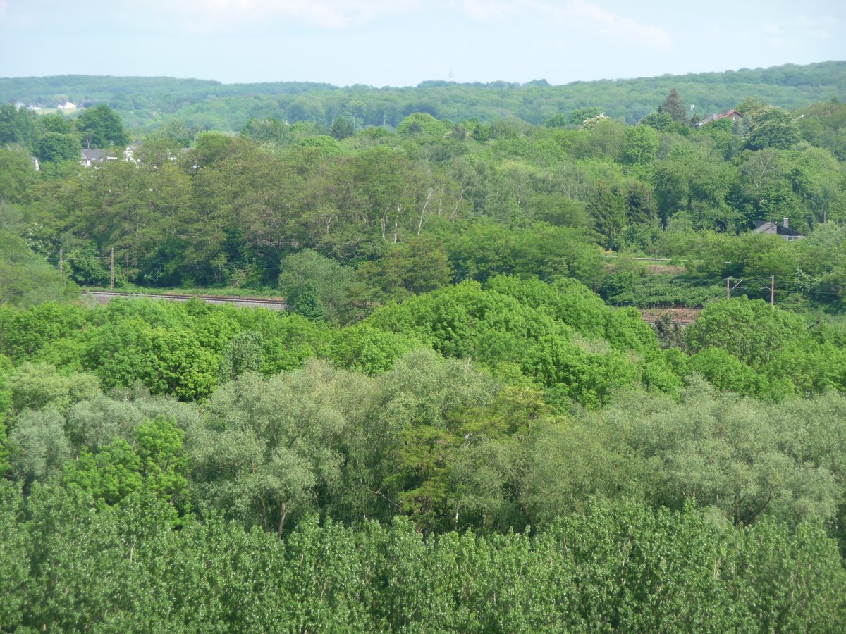 Steinbruch Schüren