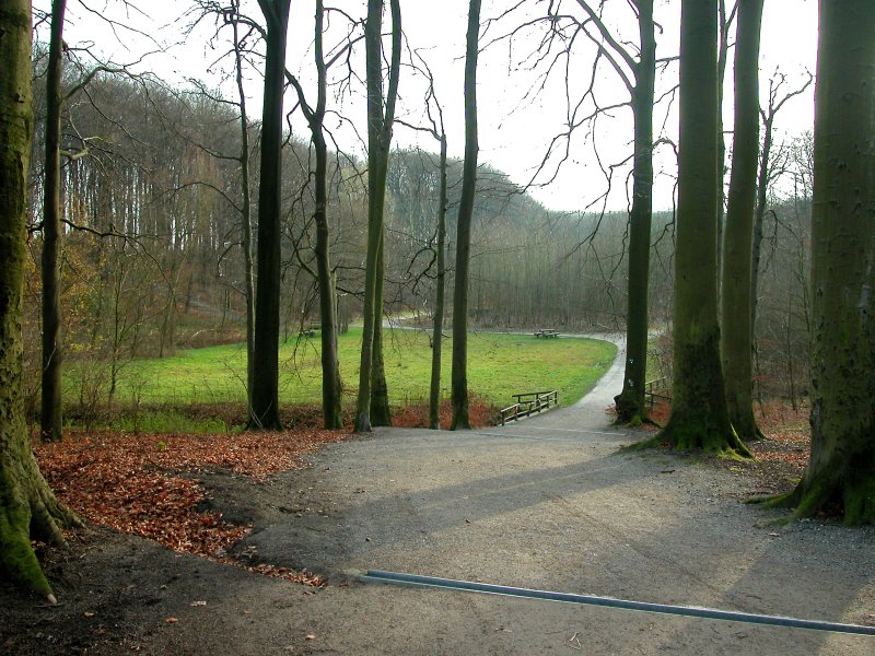 Süggel