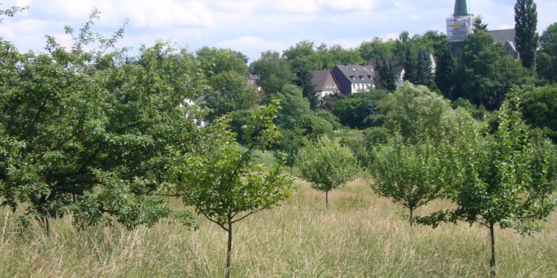 UmweltKulturPark Dortmund