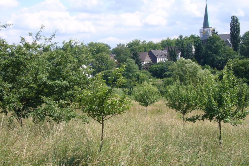 UmweltKulturPark Dortmund