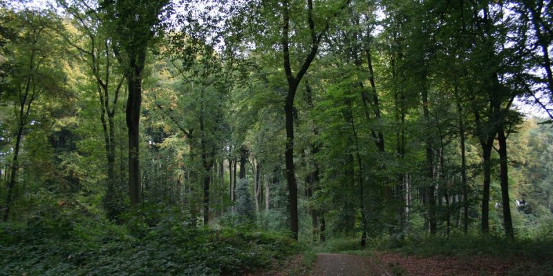 Volksgarten Lütgendortmund
