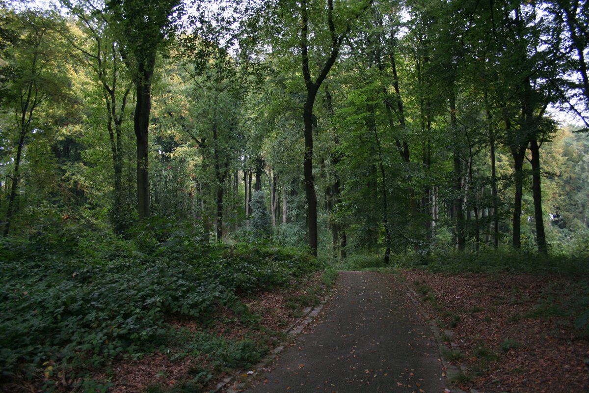Volksgarten Lütgendortmund