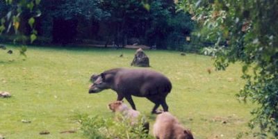Zoo Dortmund