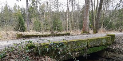 Alte 1