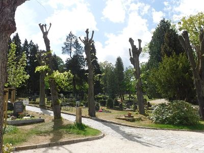 Alter Friedhof
