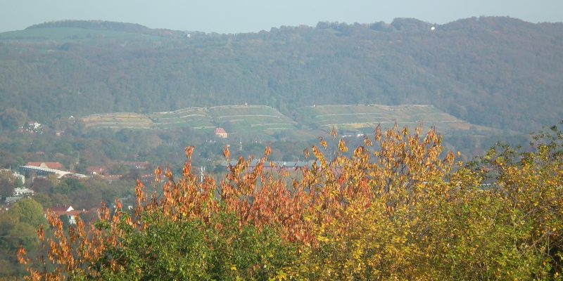 Auf dem Trutzsch