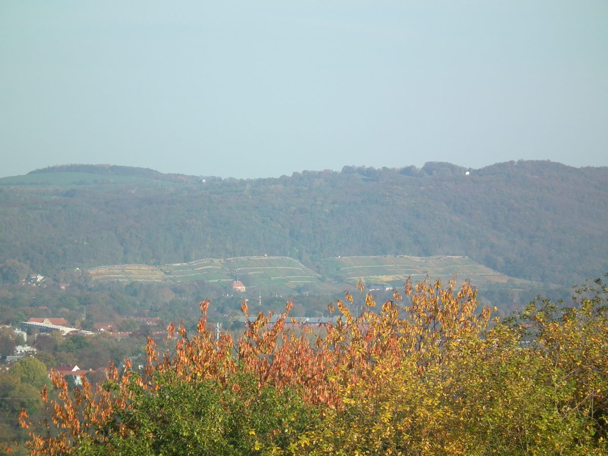 Auf dem Trutzsch
